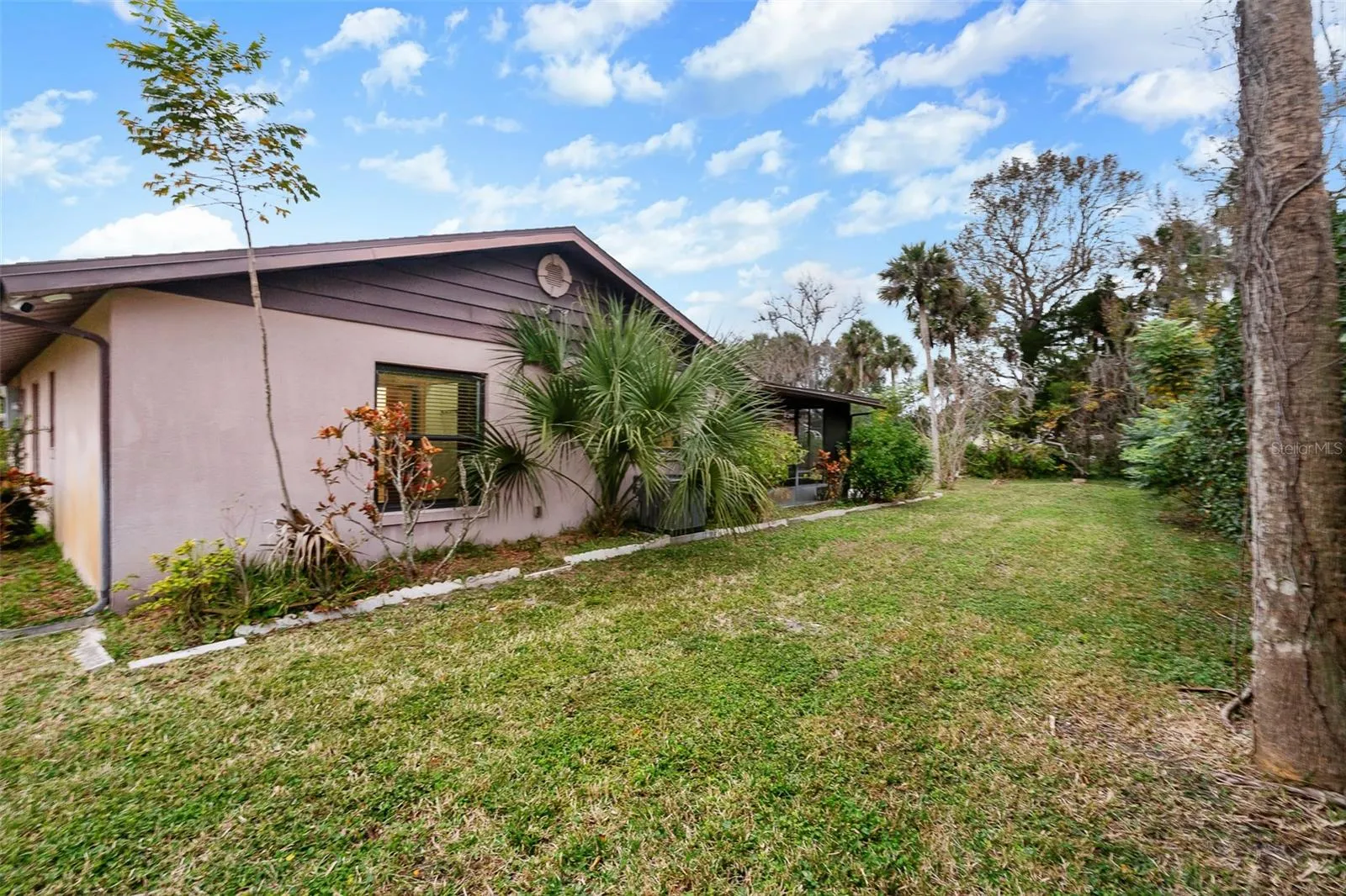 Large Backyard