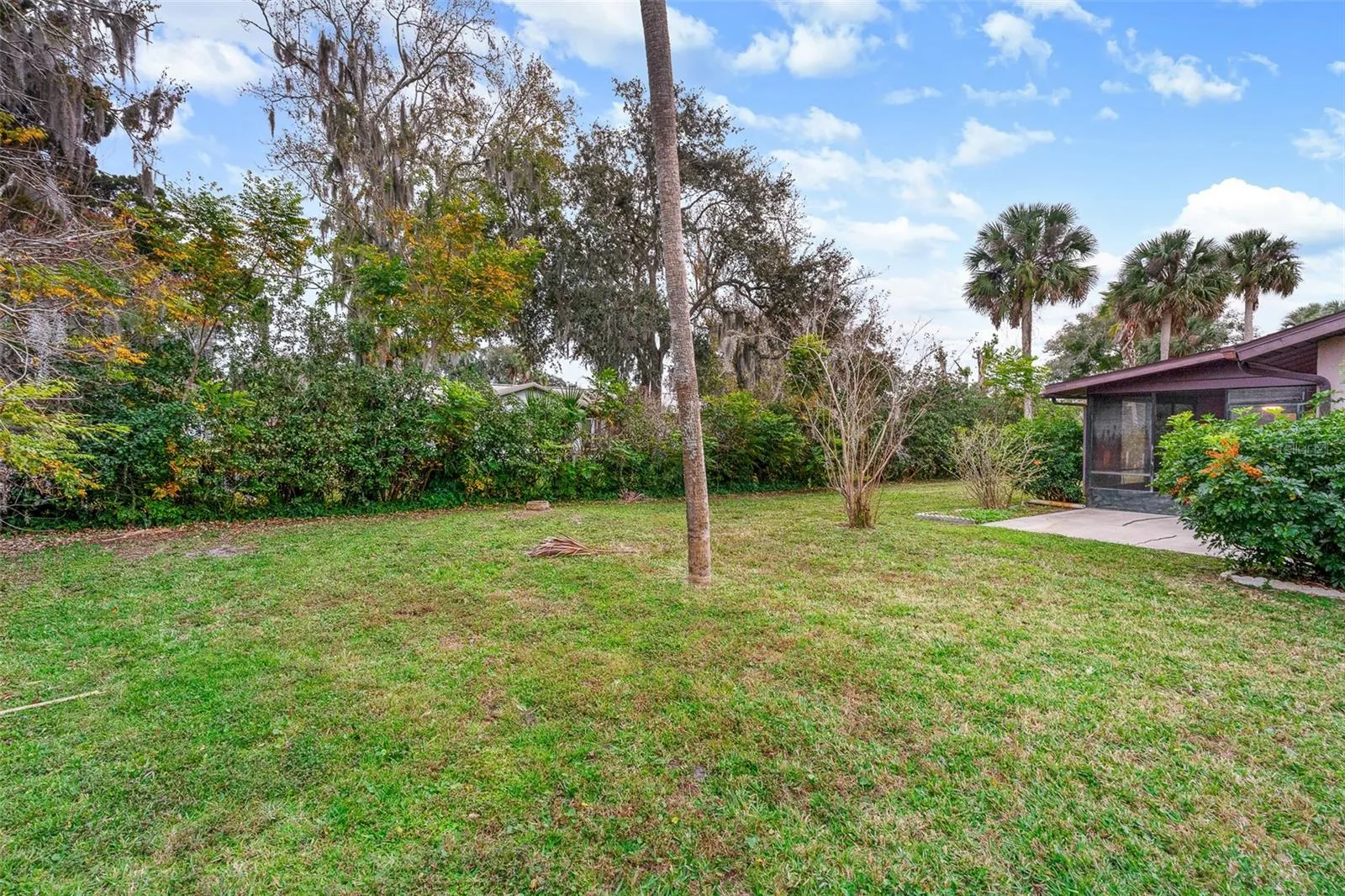 Large Backyard