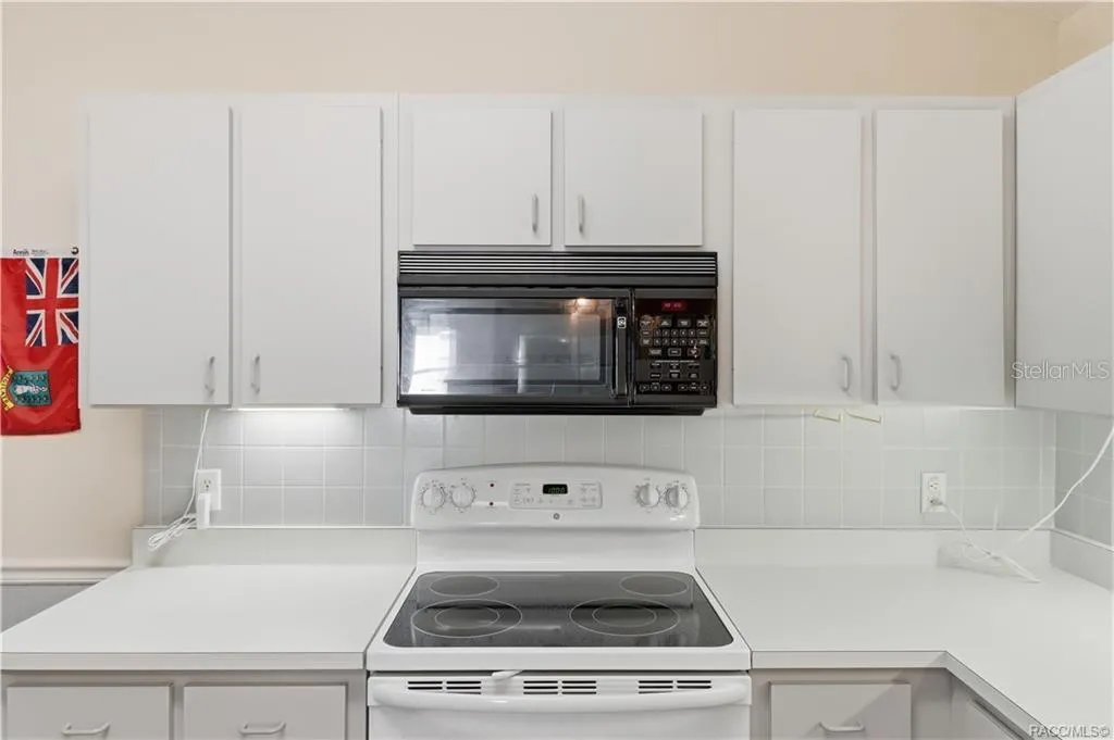 COOK UP SOMETHING GOOD! WHITE ELECTRIC RANGE, BUILT-IN MICROWAVE, TILE BACKSPLASH &amp; surrounding cabinetry make meal preparation convenient!