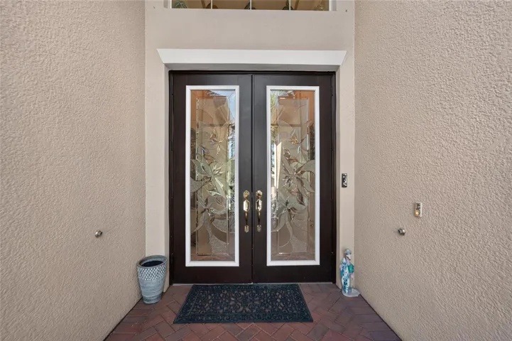 Double Etched Glass Front Doors