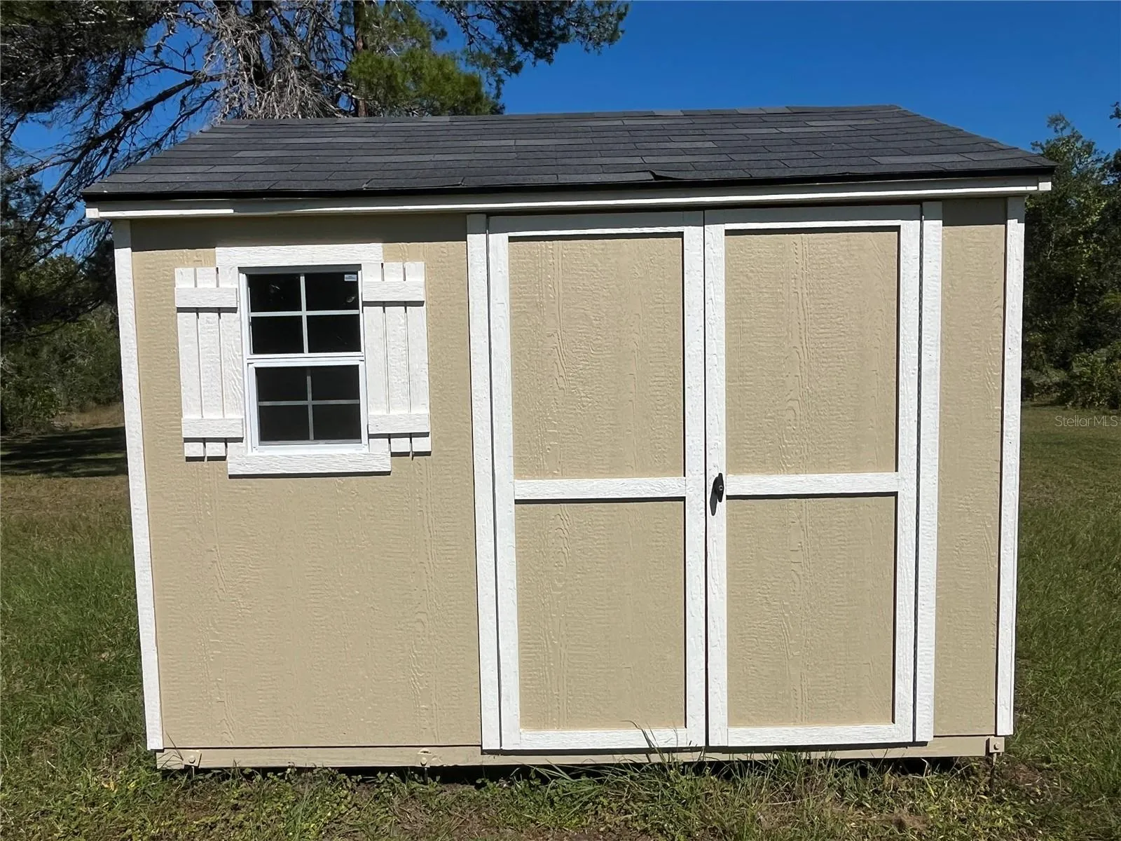 New Shed