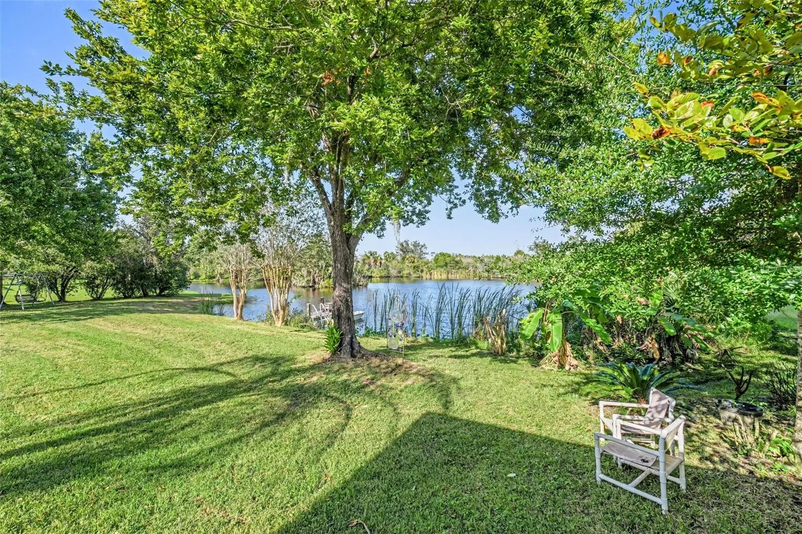 back yard