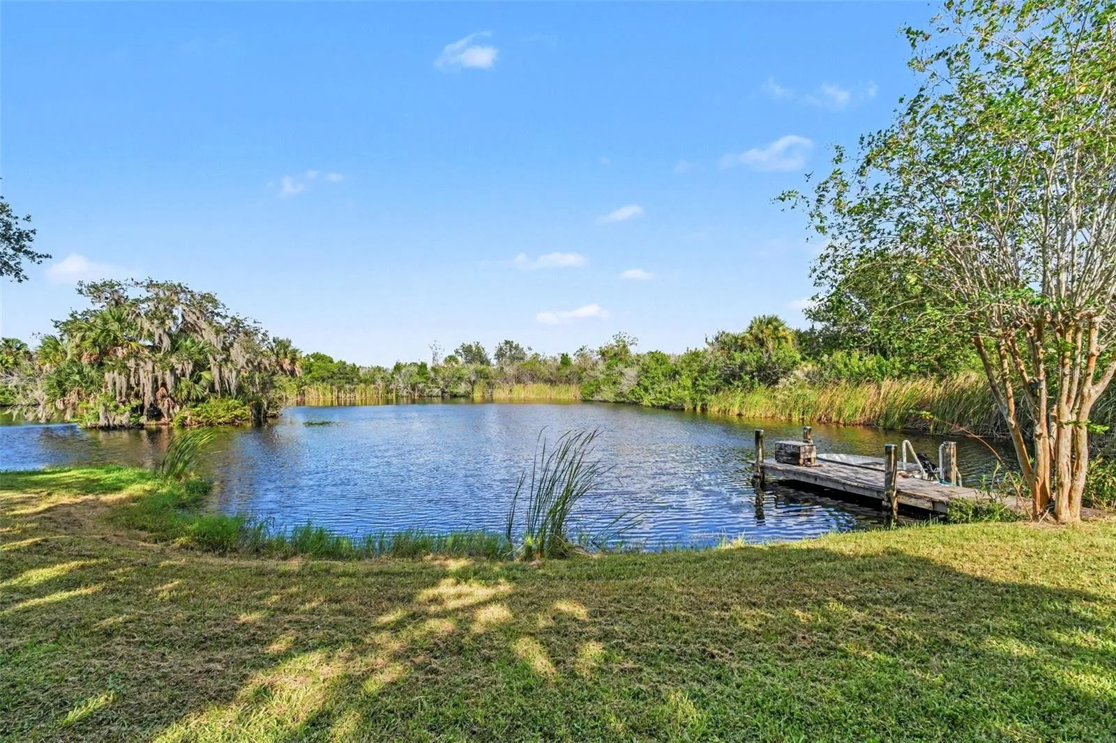 pond veiw