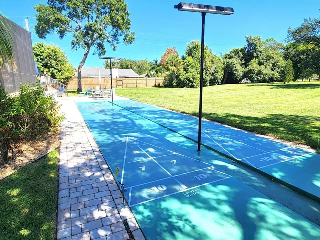 Shuffleboard