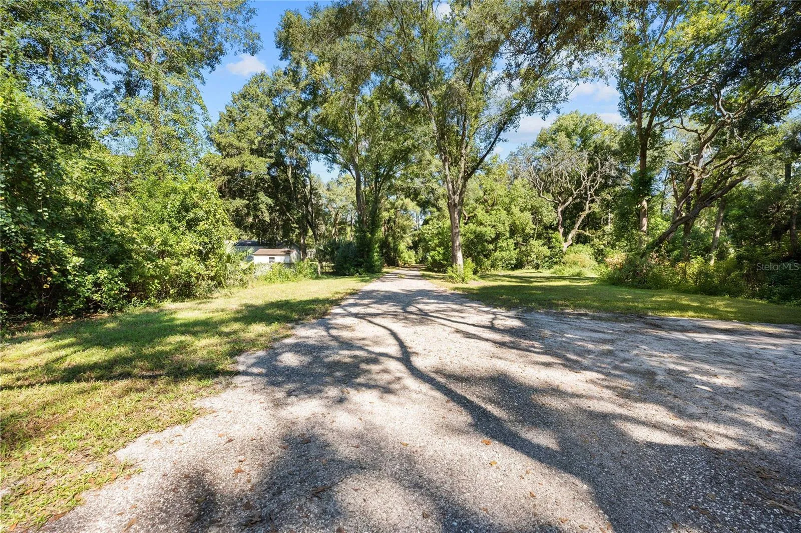 Driveway