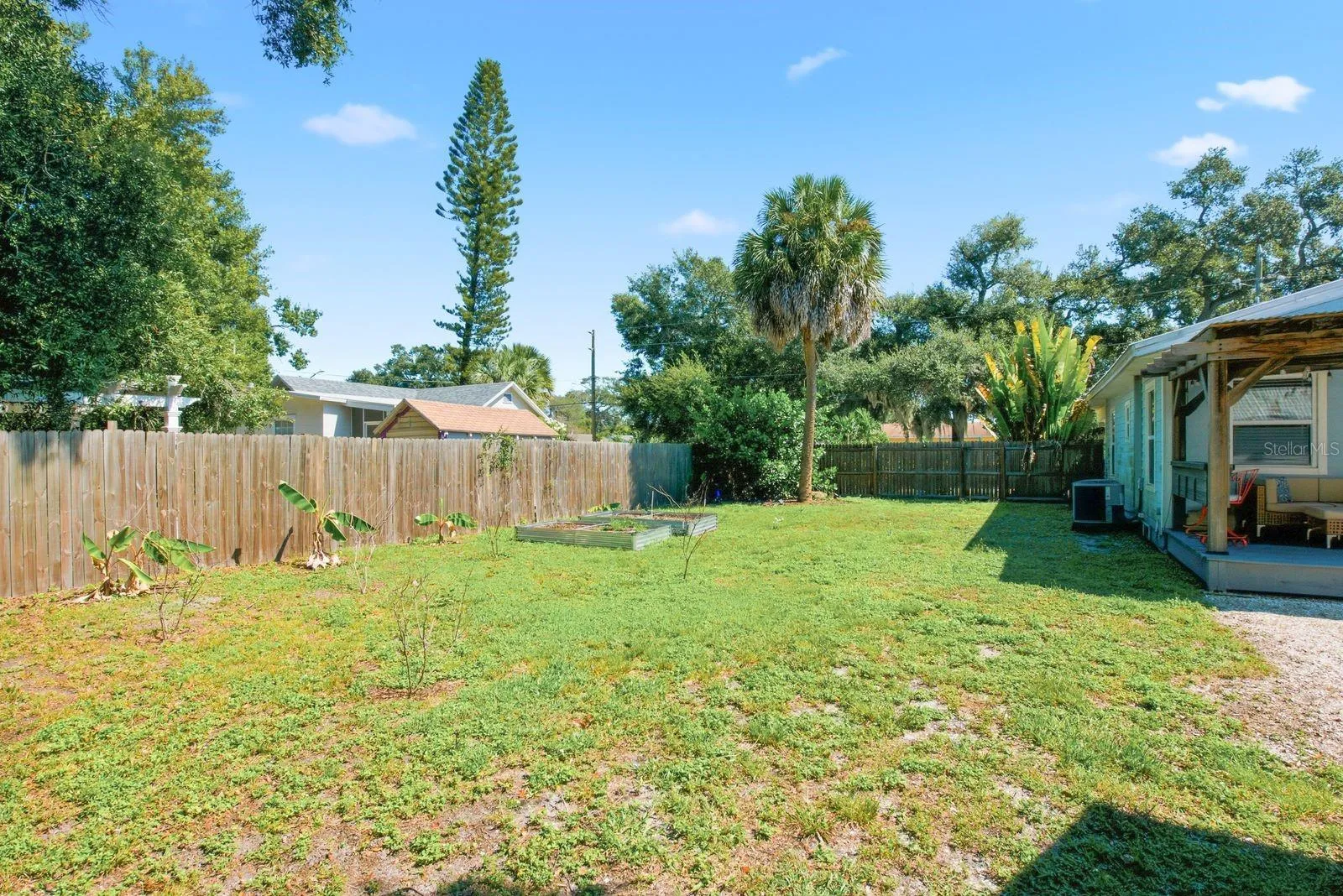 Backyard