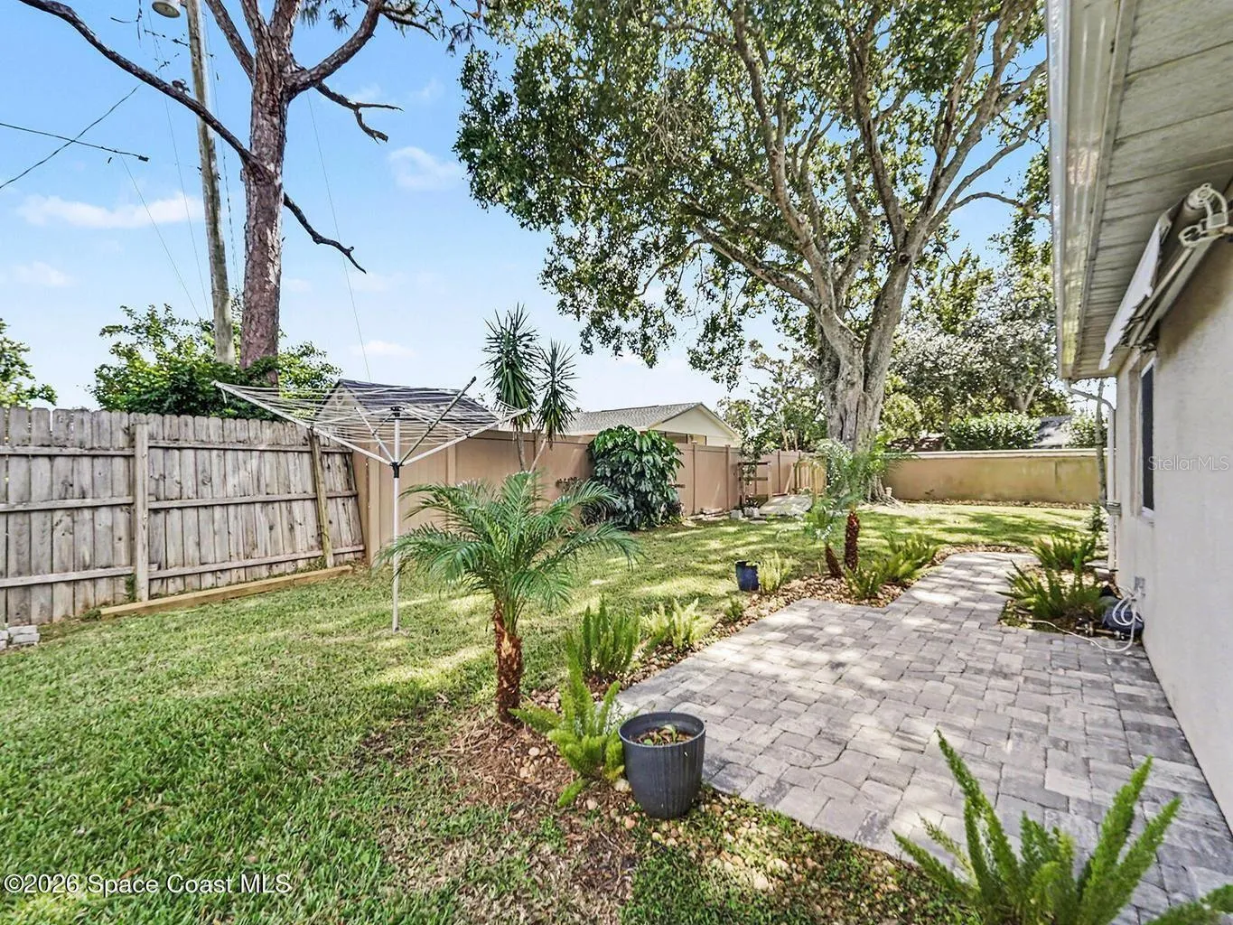 Backyard