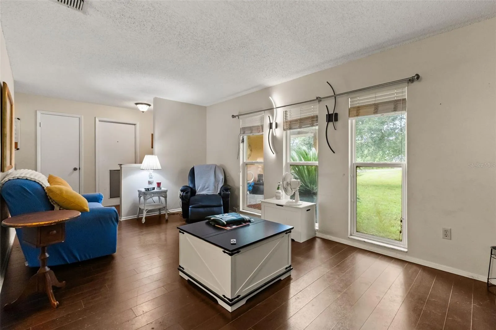 Entry/Living Room