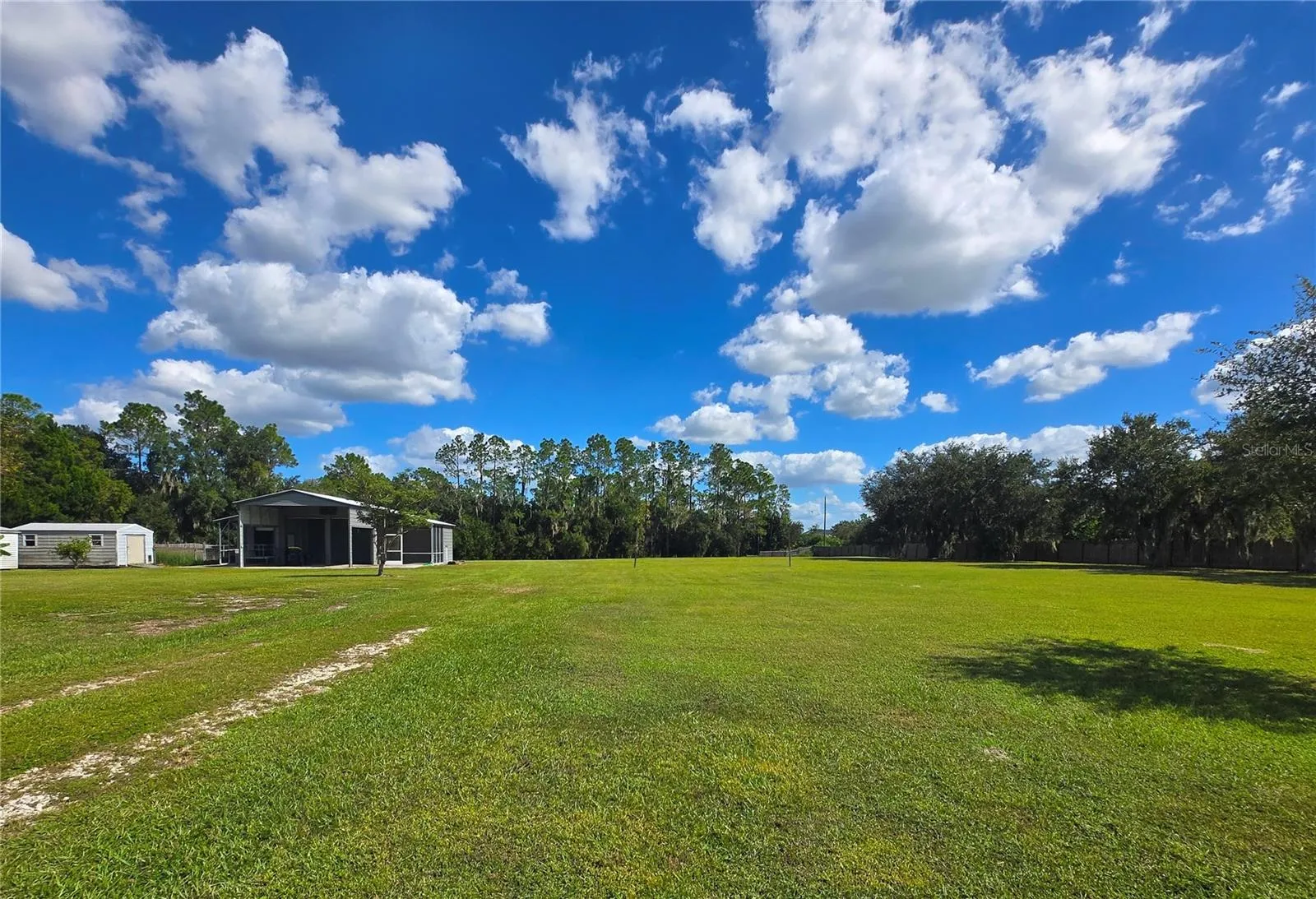 View from Side Yard