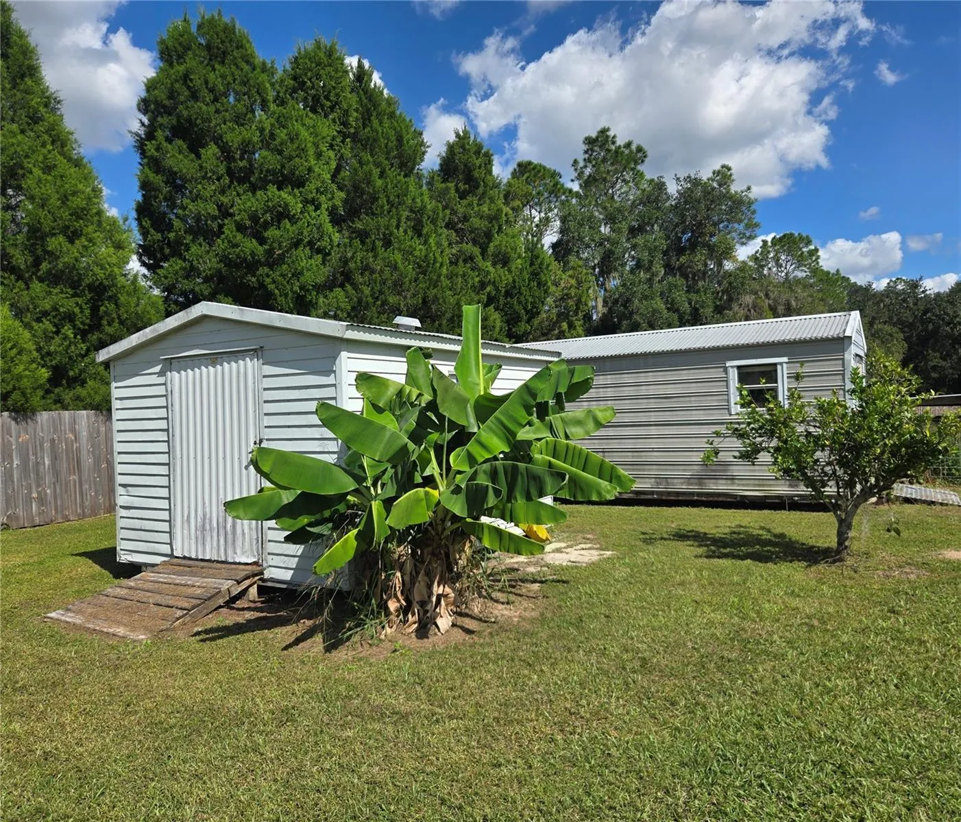Sheds