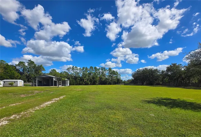 View from Side Yard