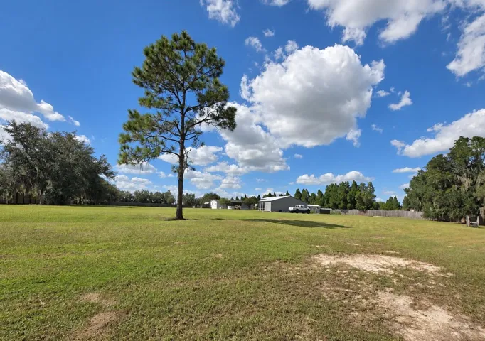 View from Back of property