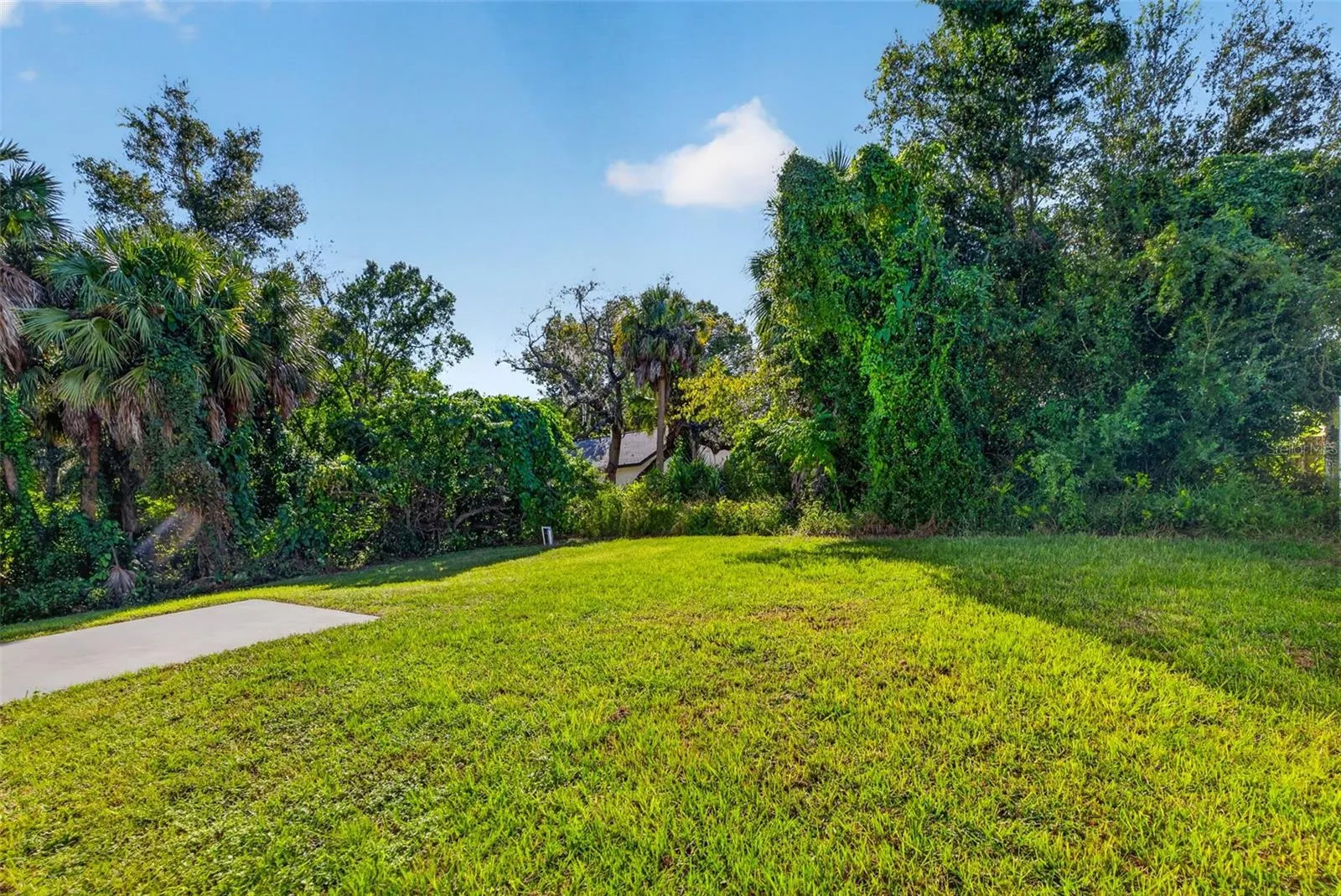 Create your dream outdoor retreat in this generously sized backyard.