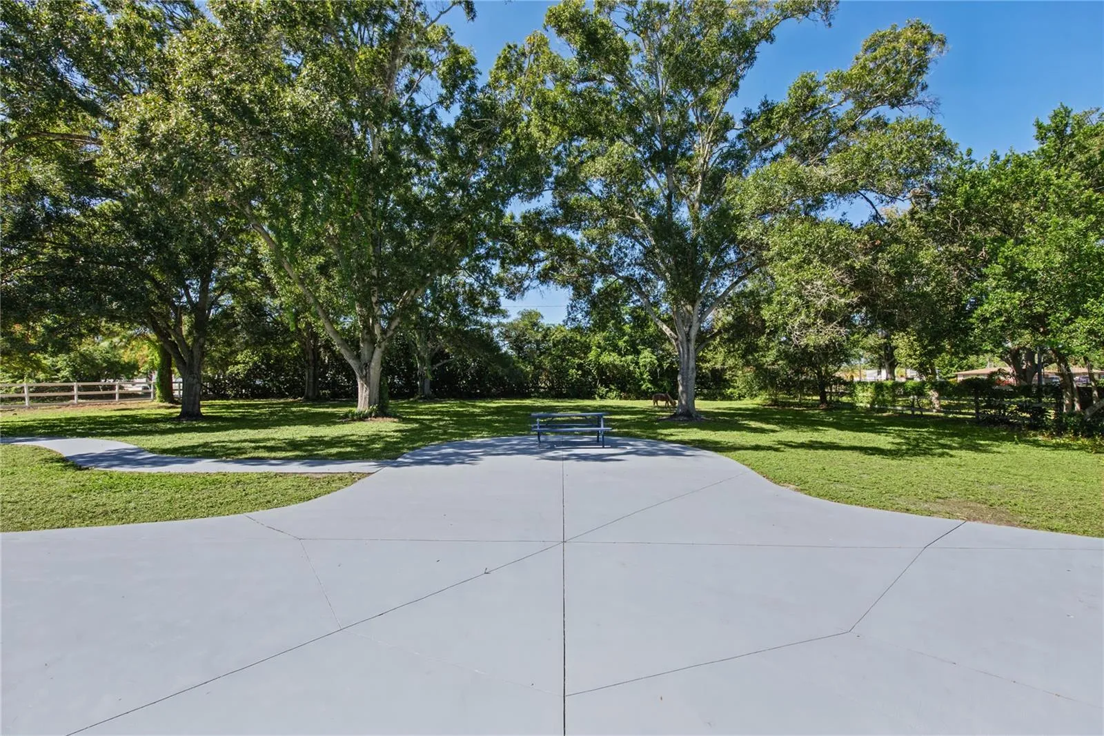 Front yard (7)