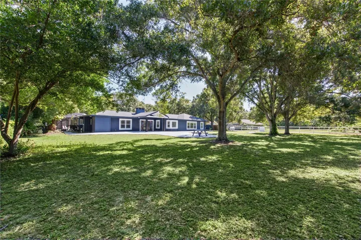 Front yard (1)