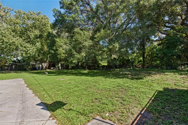 Backyard (2)