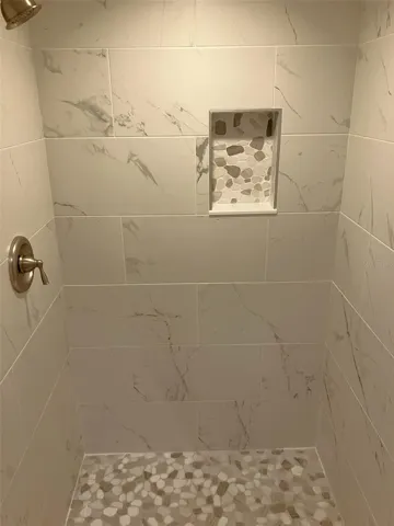 Primary Shower