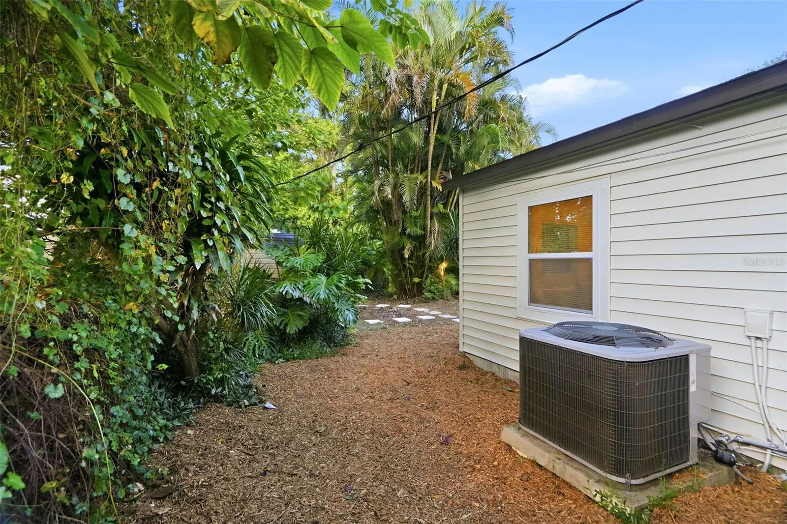Left Side Yard