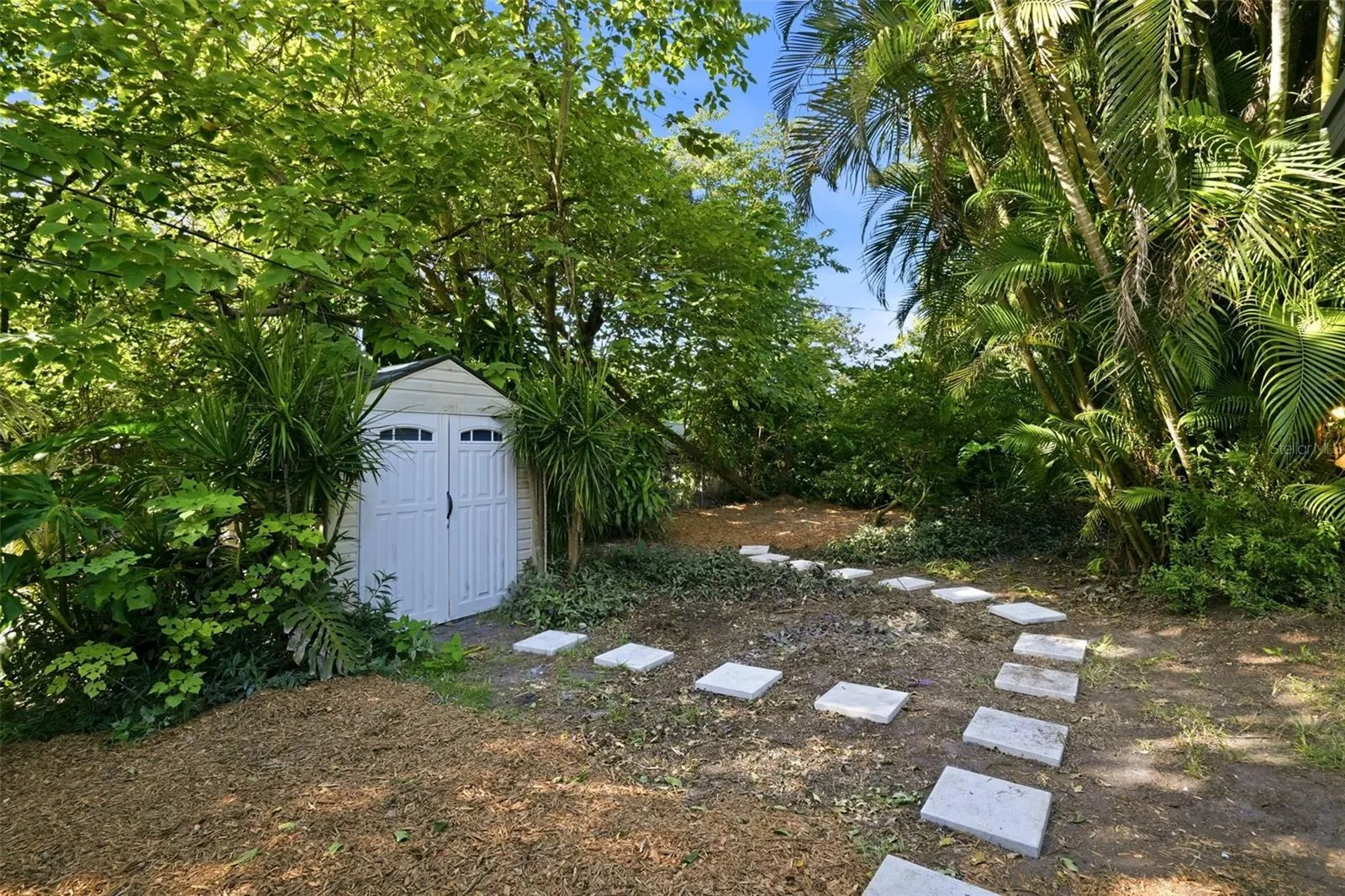 Backyard