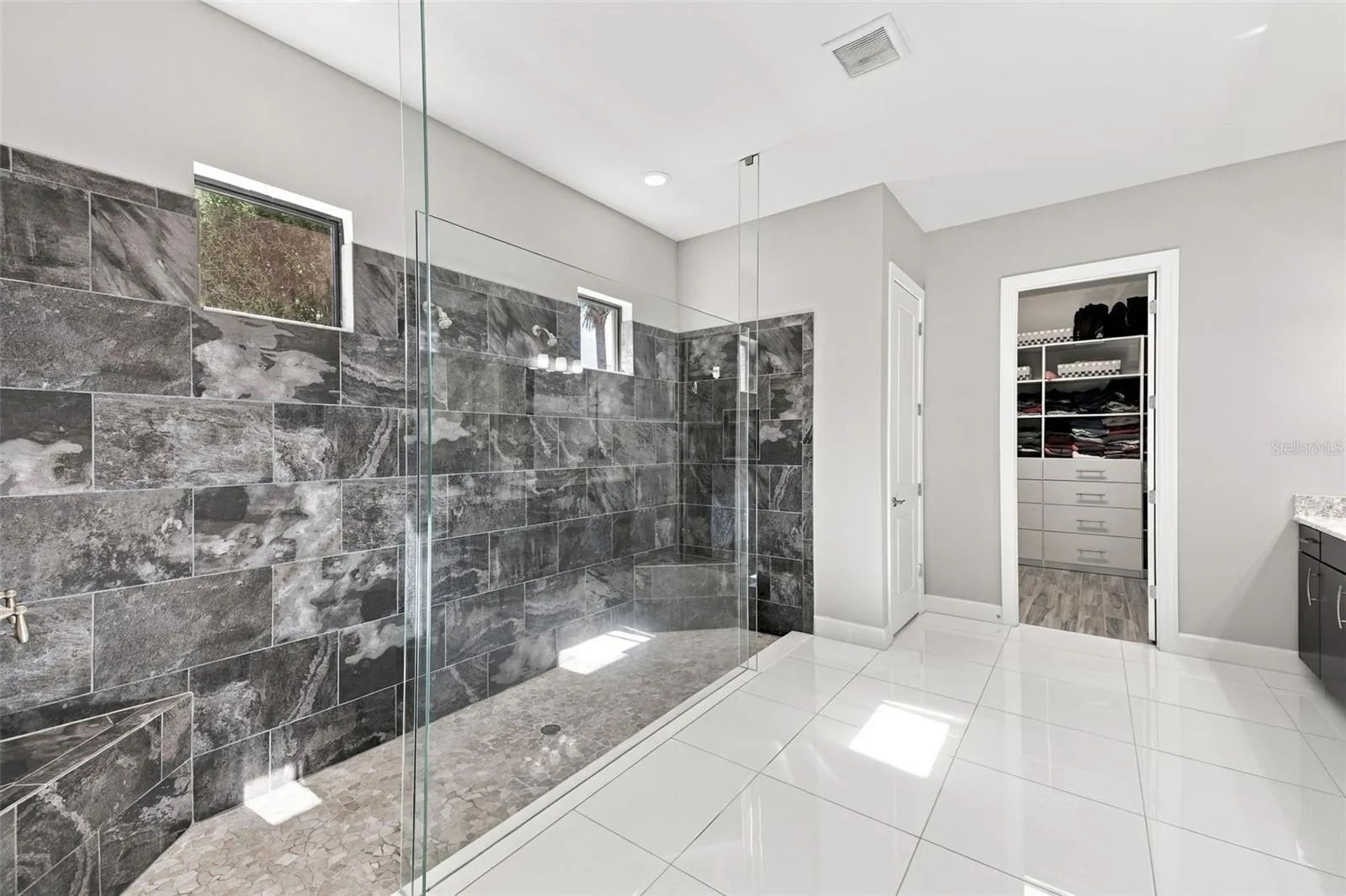 Primary Bathroom shower with dual showerheads