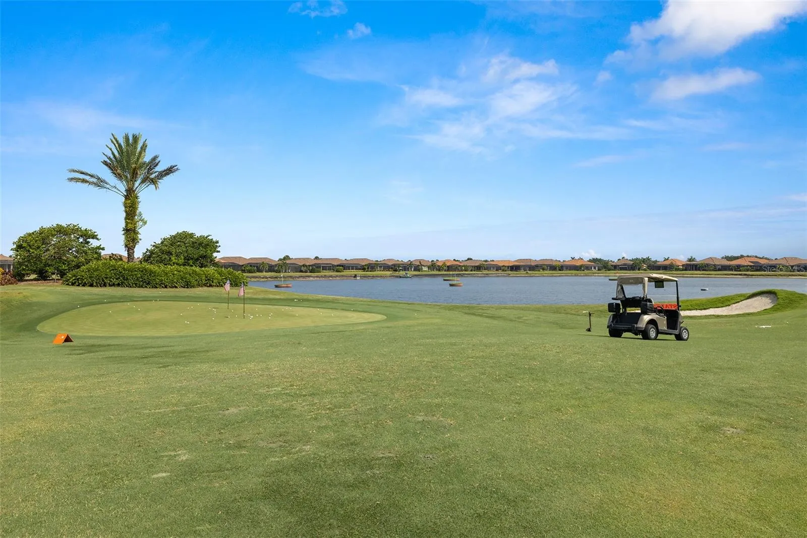 Pitch chip and put