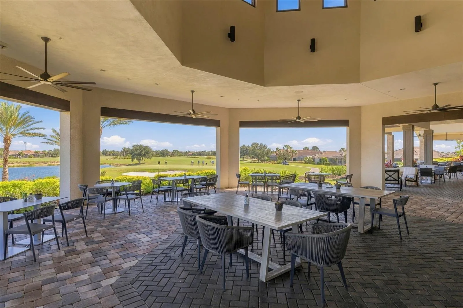 View from the patio
