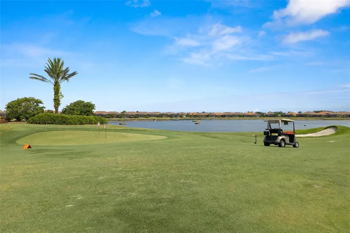 Pitch chip and put