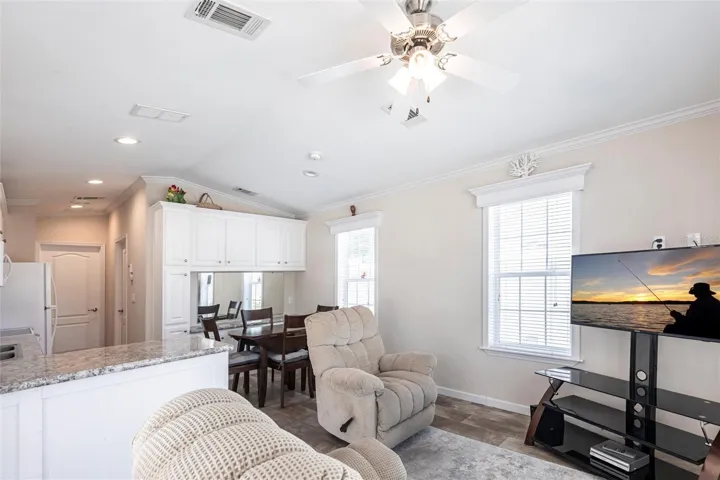 Living area vaulted ceilings