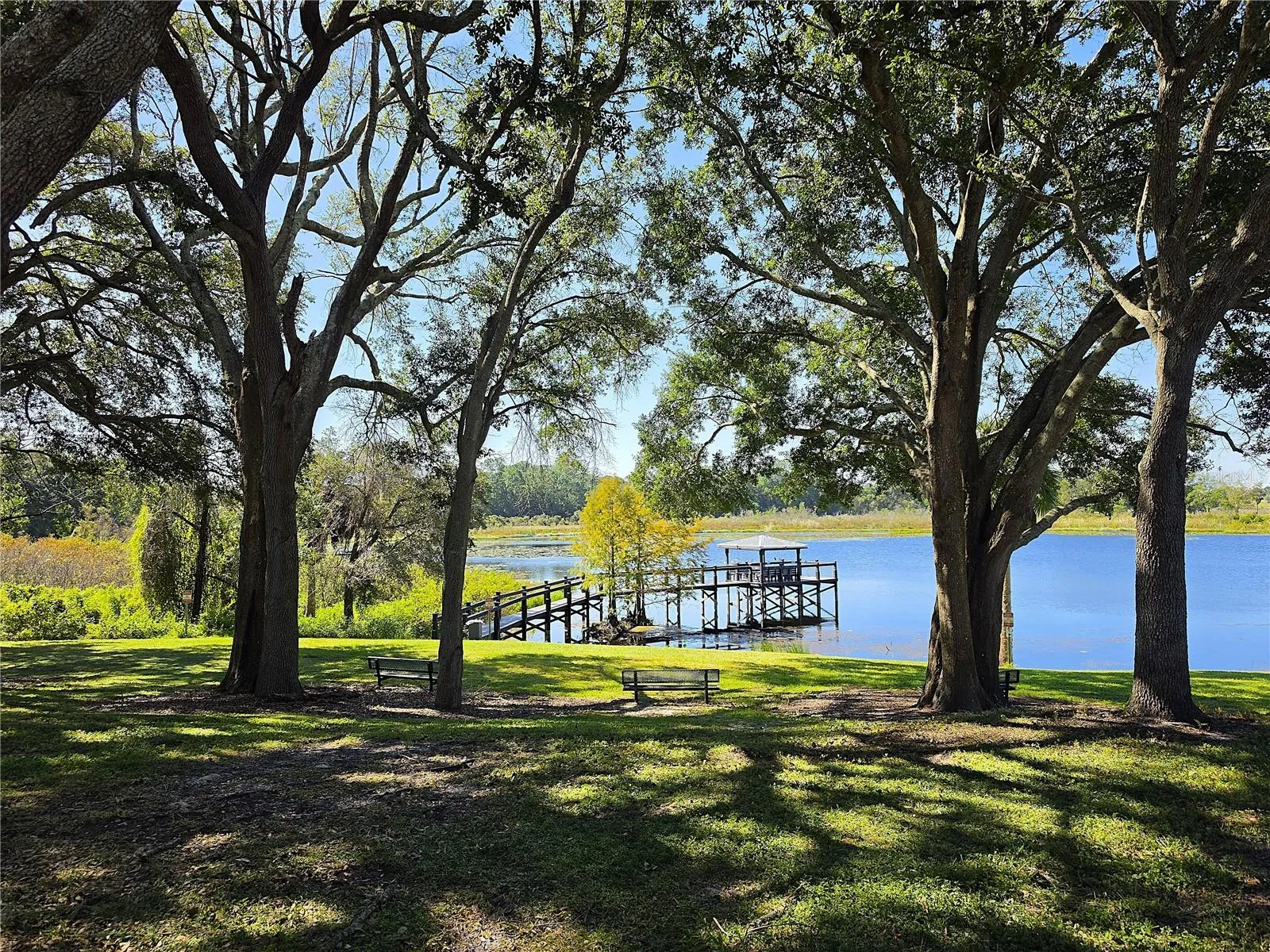 Community Area