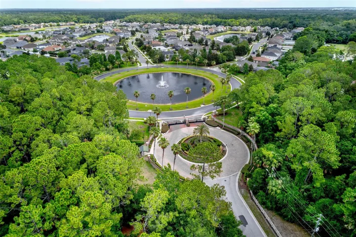 Aerial View of Neighborhood
