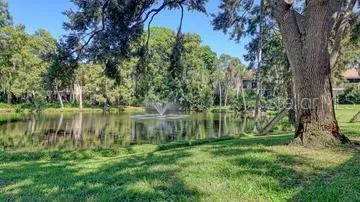 Tranquil Lake in your backyard!