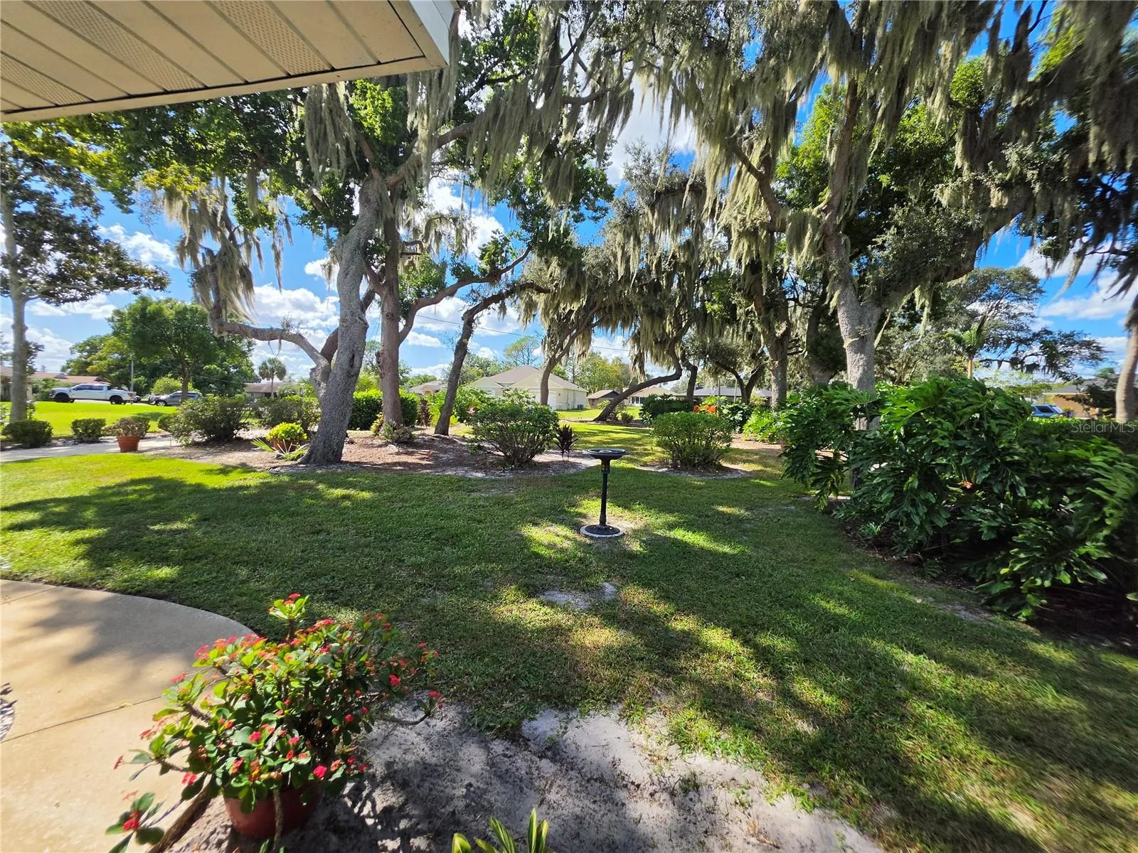 Front yard view from the home