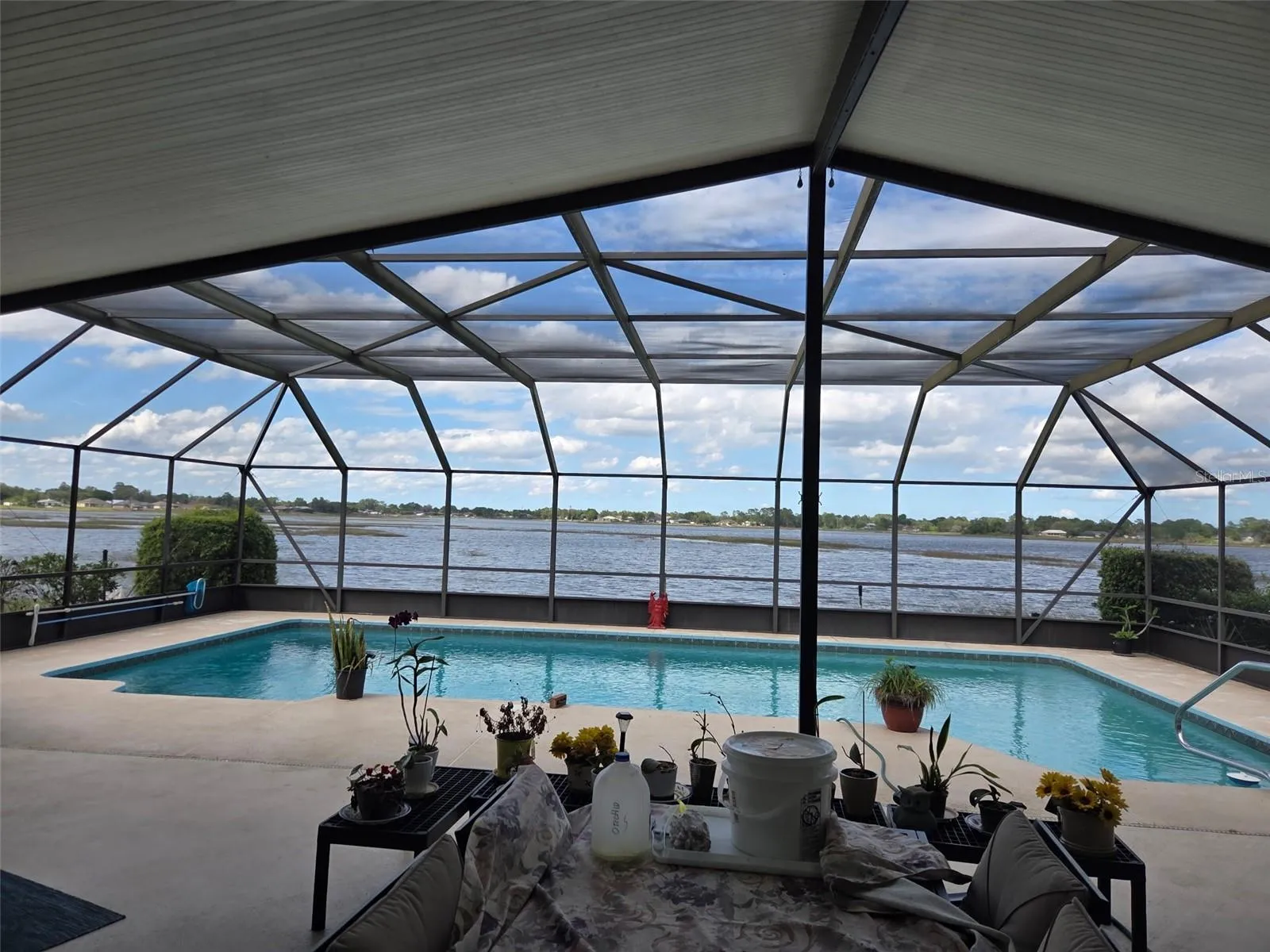 Pool view overlooking Lake Theresa