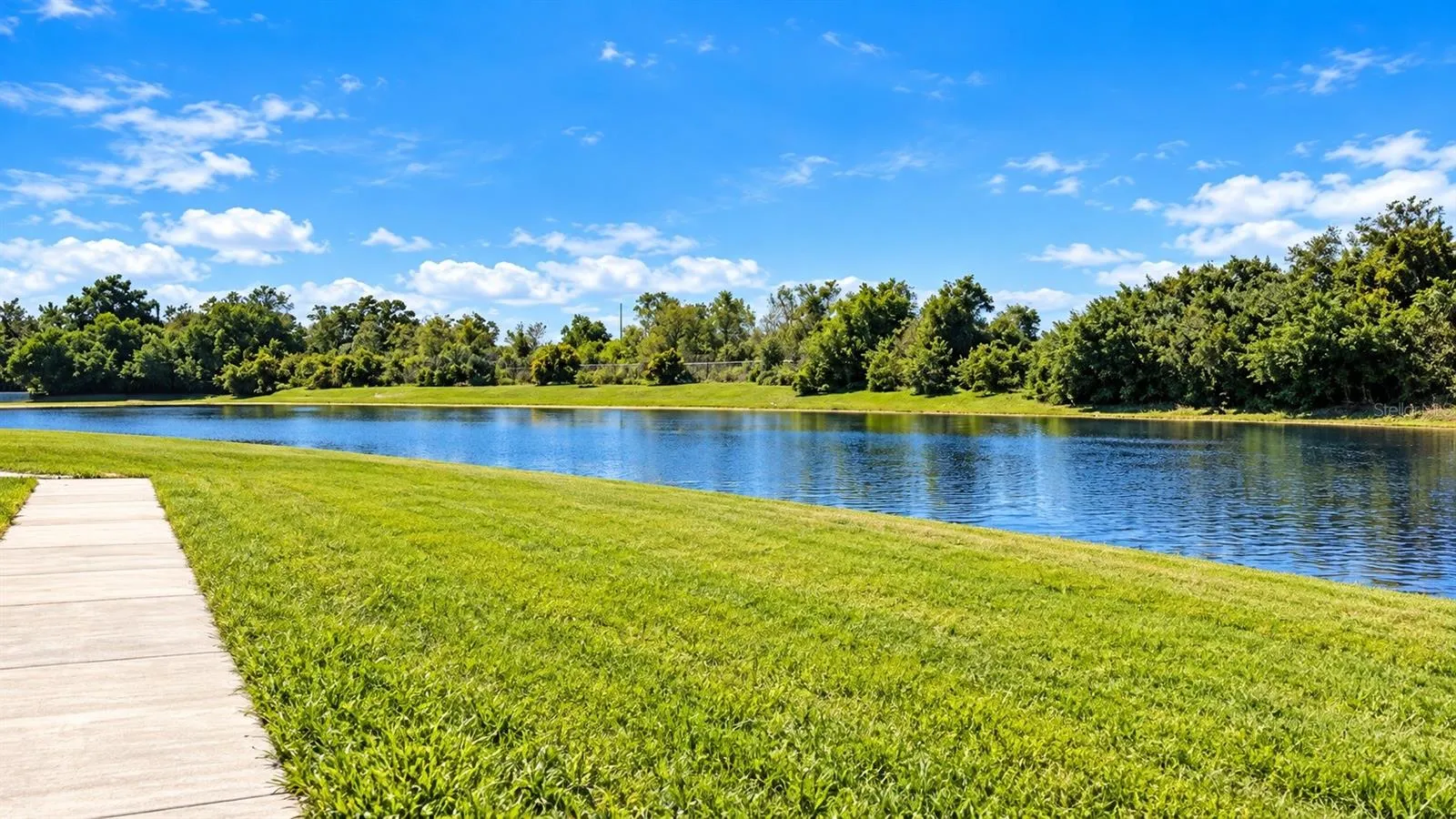 Outdoor lawn and pond view.