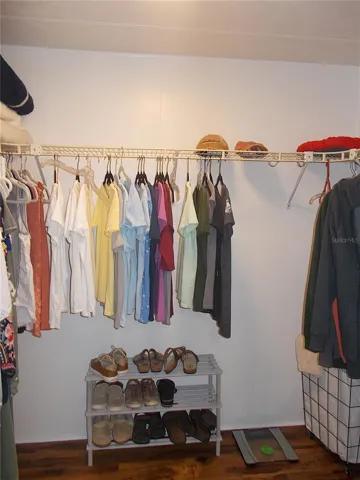 Primary suite closet