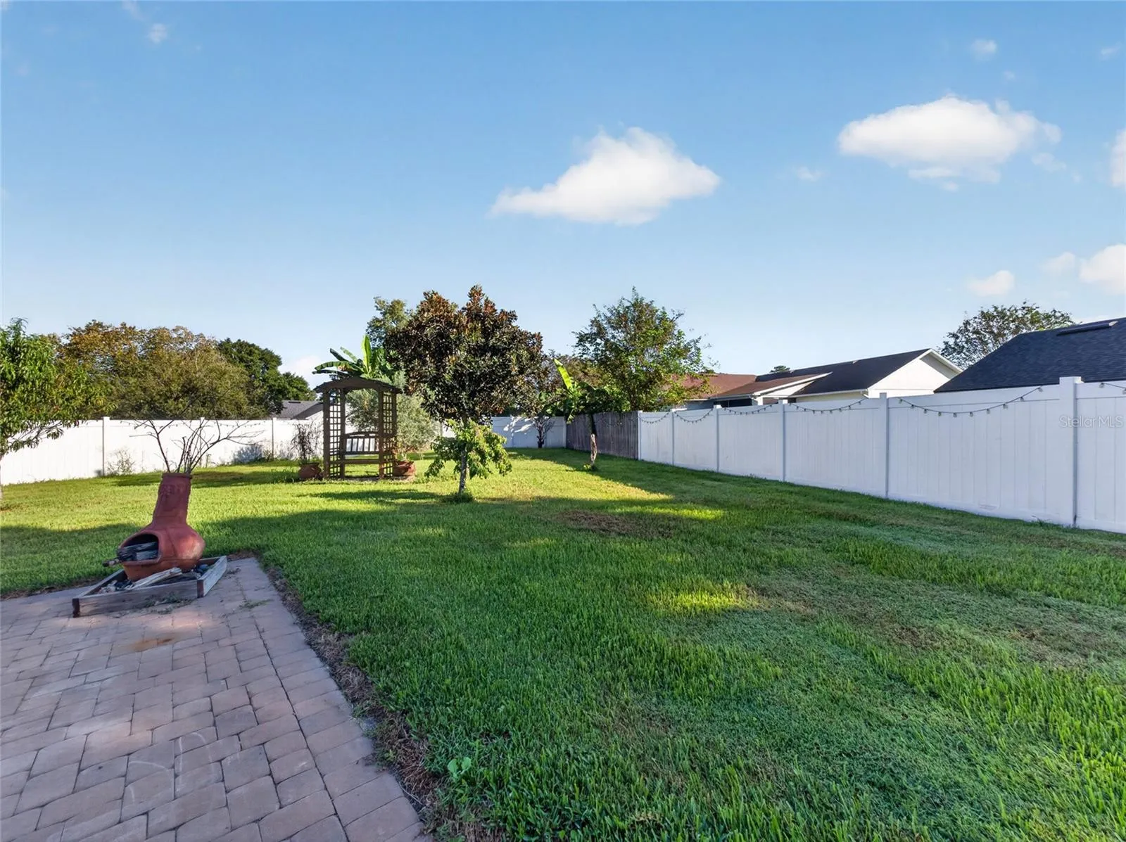 Backyard View