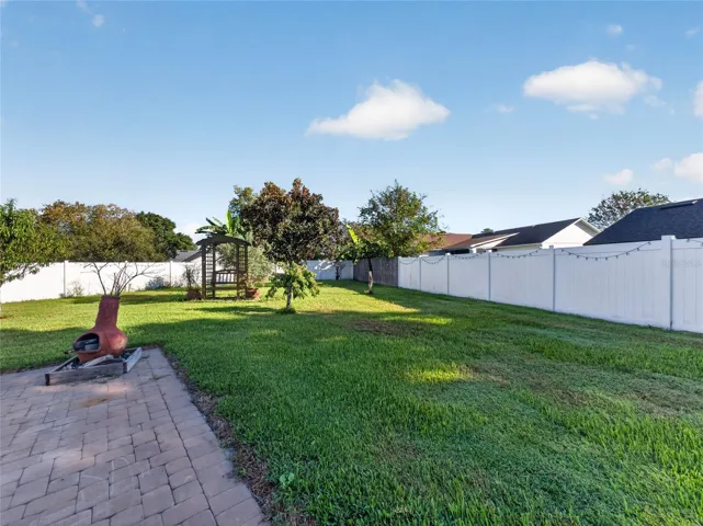 Backyard View