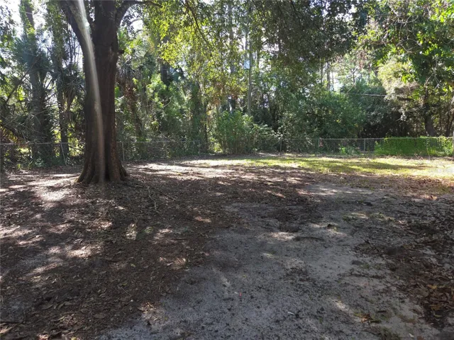 Backyard