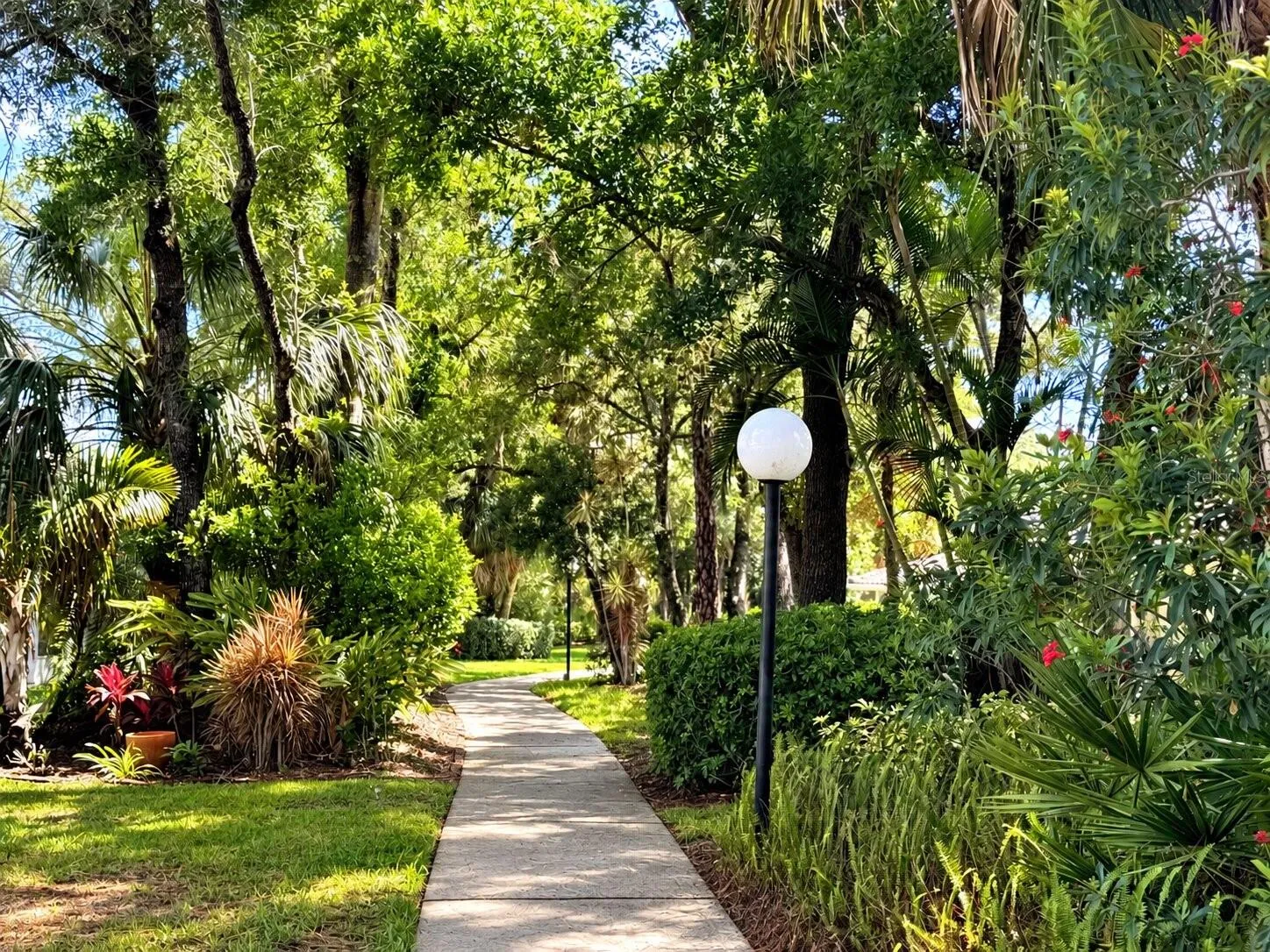 Walk to your heart's content
