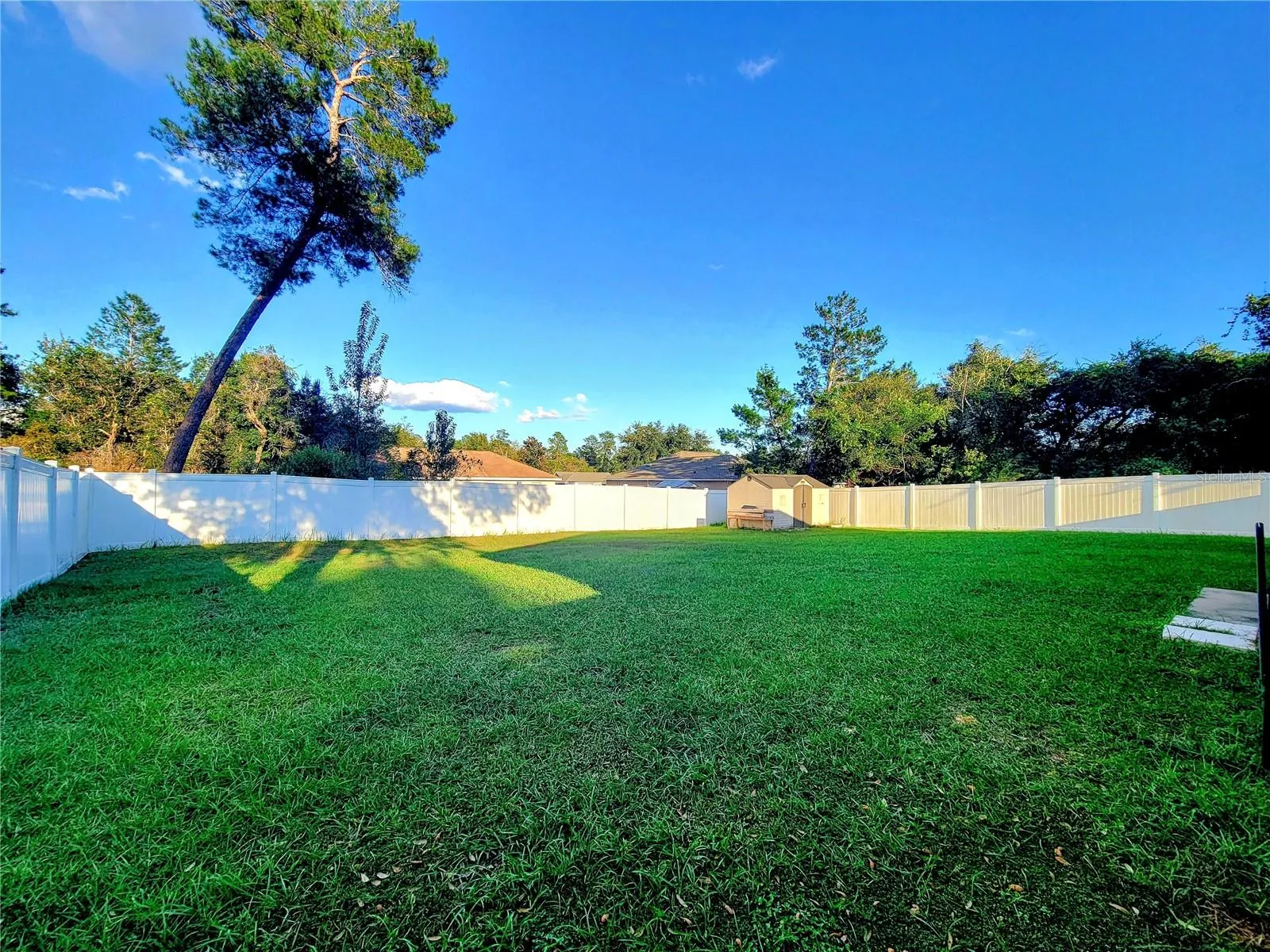 Fenced Backyard