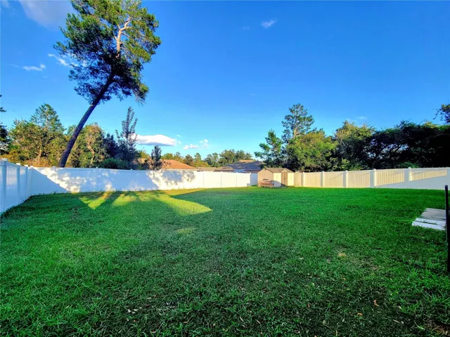 Fenced Backyard