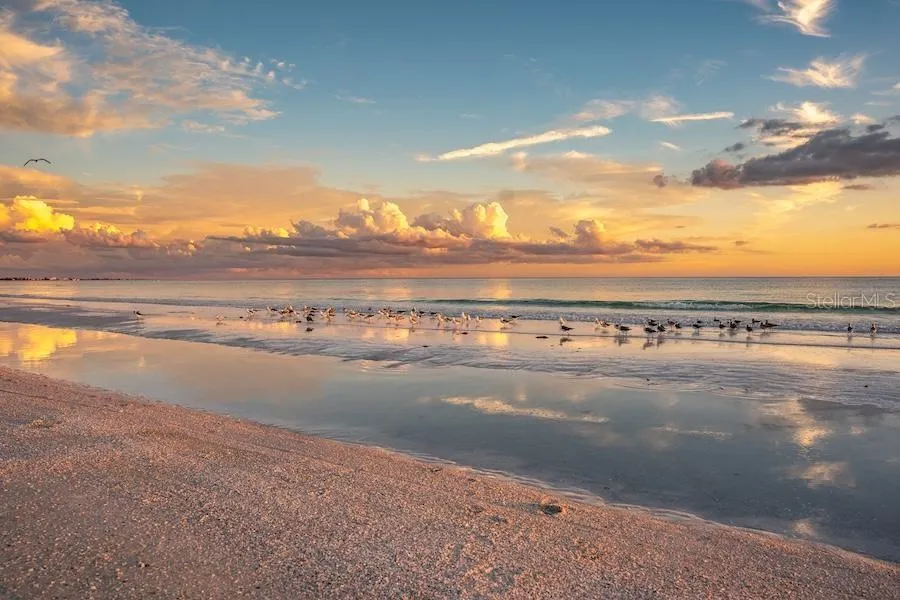 Siesta Key Beach