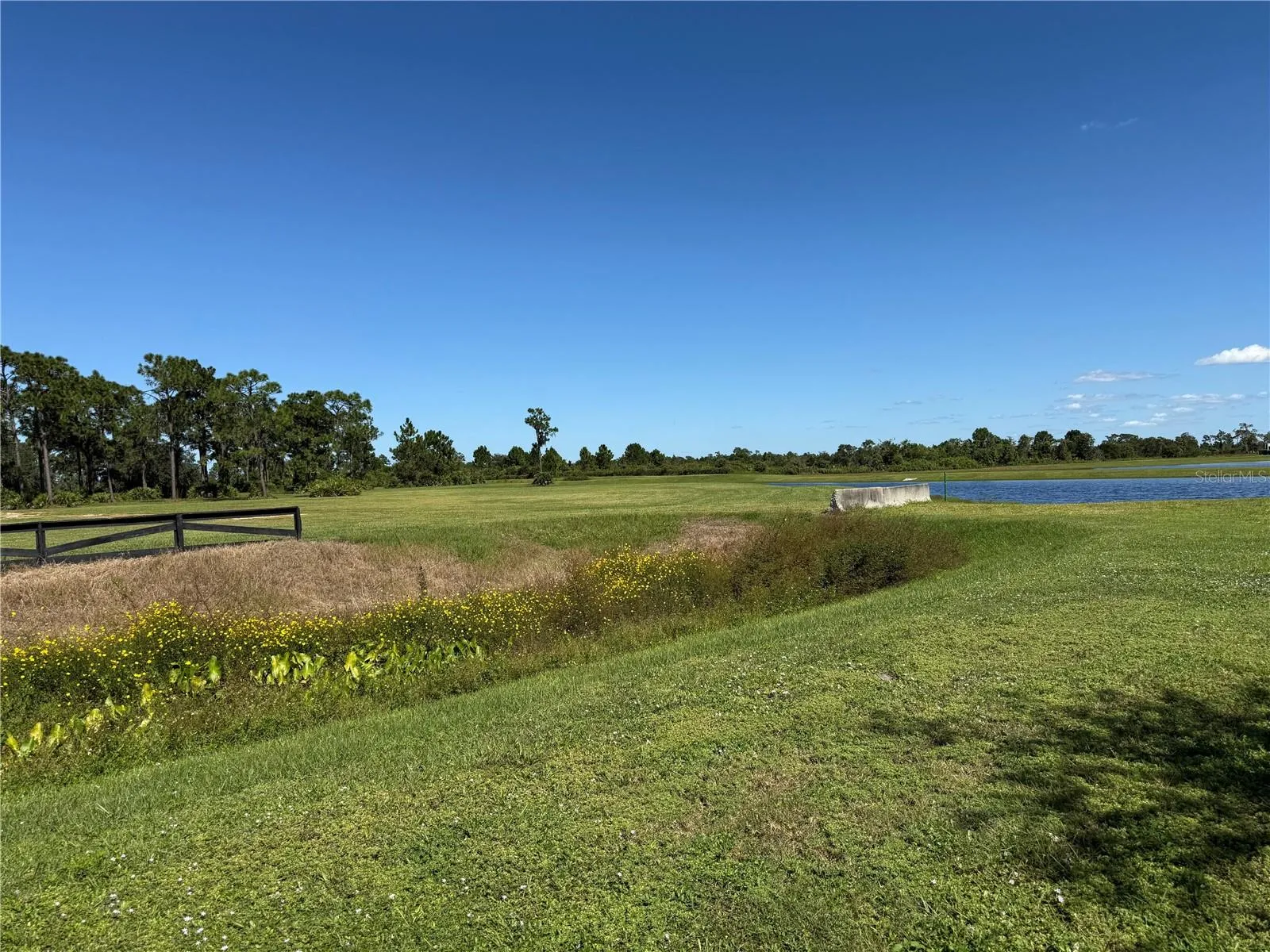 Perimeter Land Views (Common)