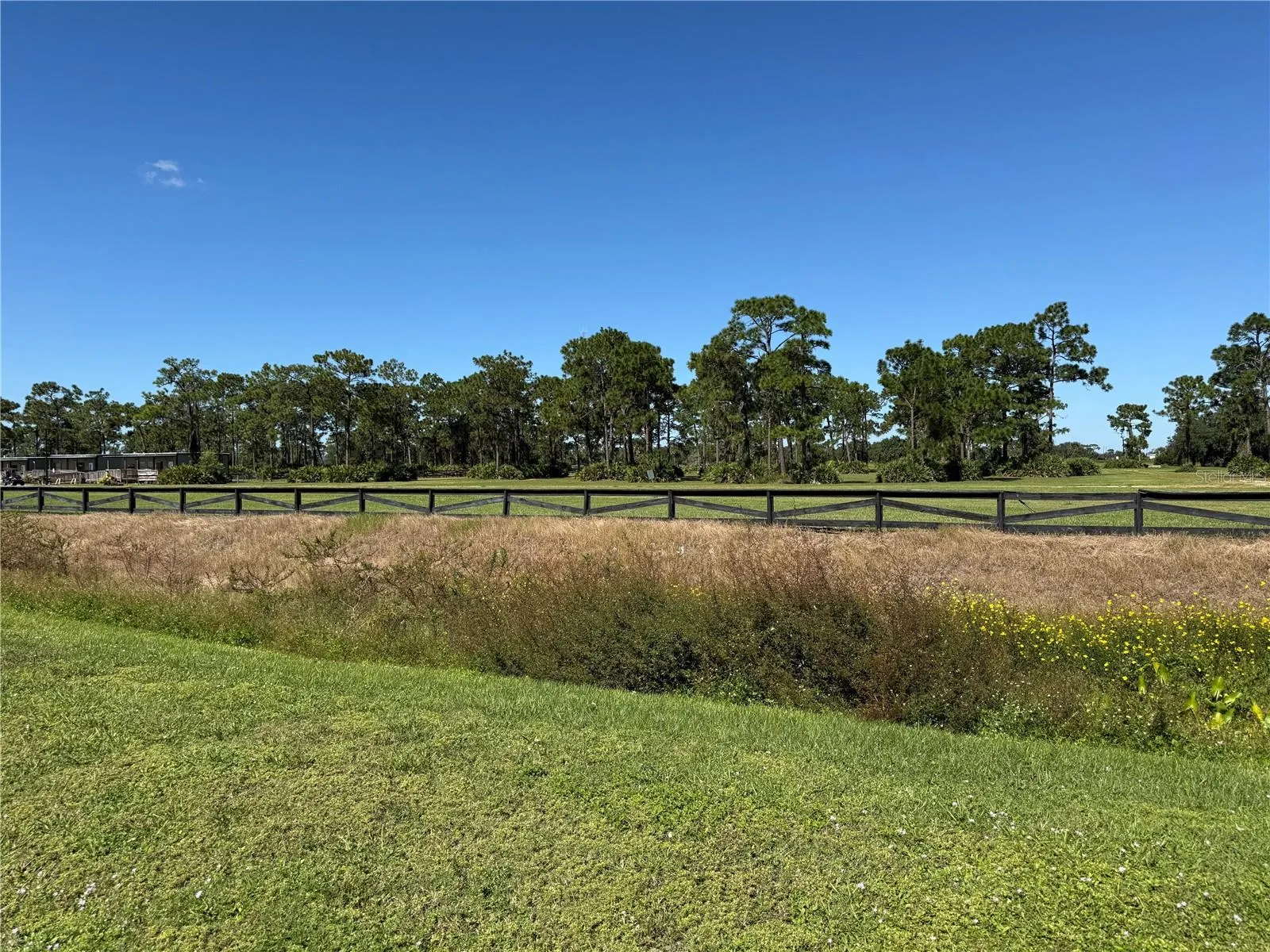 Perimeter Land Views (Common)
