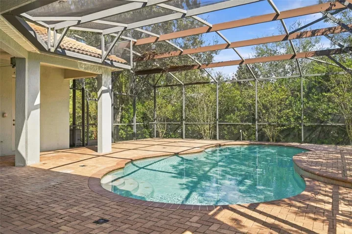 Pool / Lanai