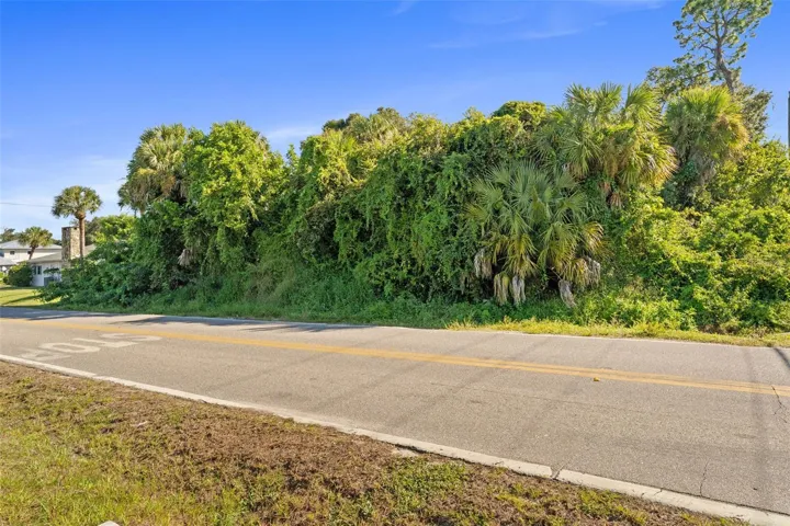 Extra lot behind house