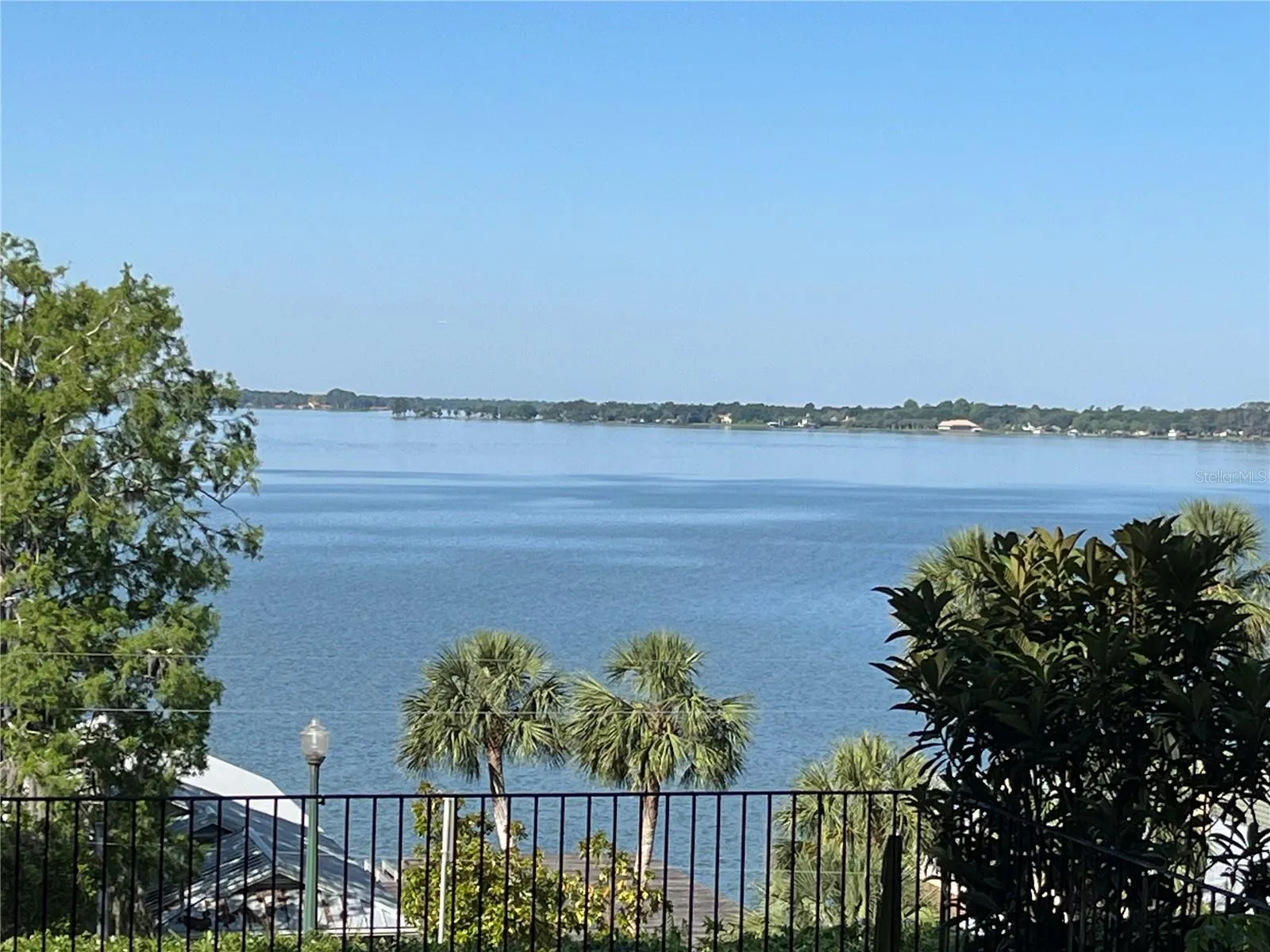 Daytime view from back porch