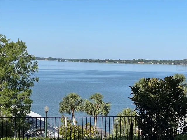 Daytime view from back porch