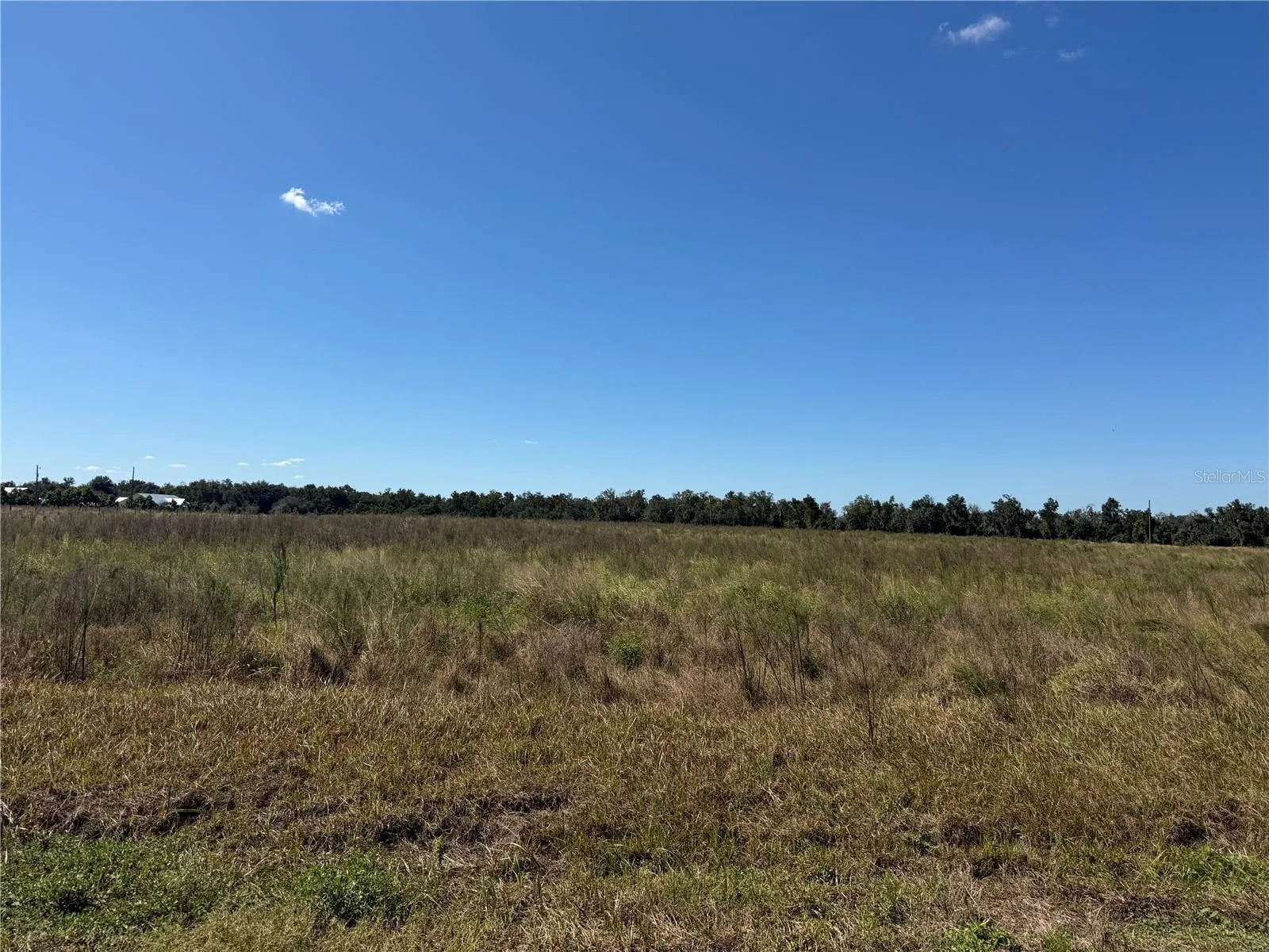 Looking at the property from Himrod Rd.
