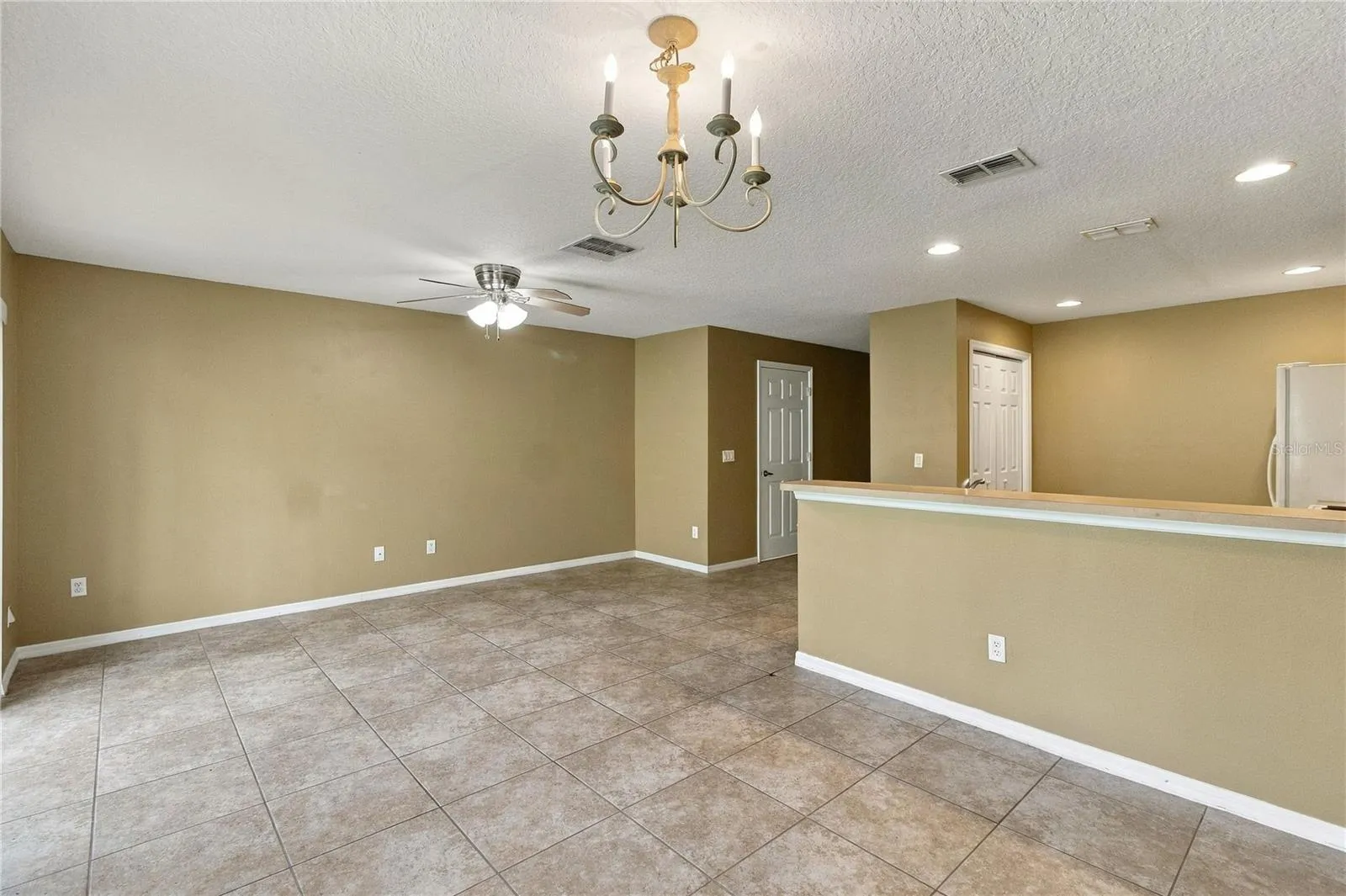 Entertaining Area/Kitchen